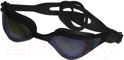 Очки для плавания Atemi Phantom Rider / TPR1BK (черный)