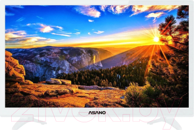 Изображение товара Телевизор Asano 24" 24LH1011T
