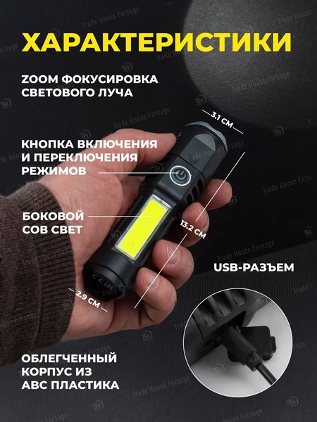 Фонарь Forstime FT-CAM2046 (58480)