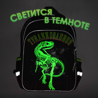 Школьный рюкзак Brauberg Quadro. Tyrannosaur / 272021