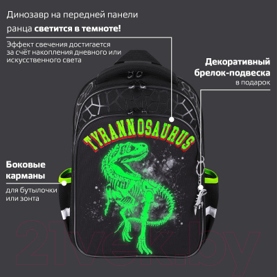 Школьный рюкзак Brauberg Quadro. Tyrannosaur / 272021