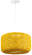 Потолочный светильник BayerLux Ассели / 9753150 (желтый) - 
