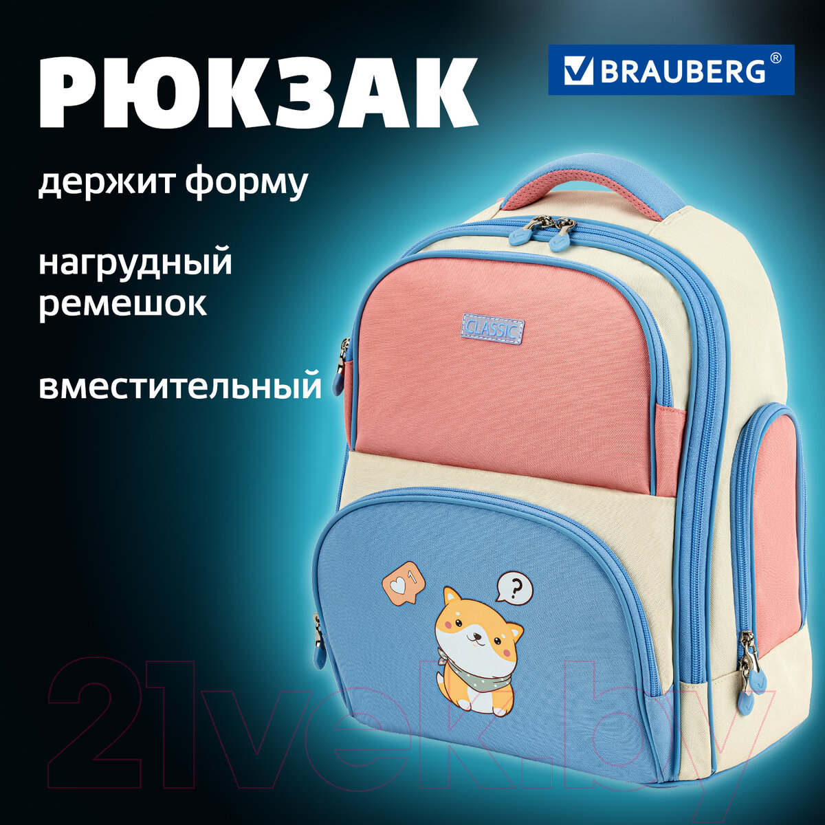 Школьный рюкзак Brauberg Classic. Tender / 272090