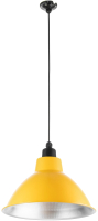 Потолочный светильник BayerLux Антис / 9540170 (желтый) - 