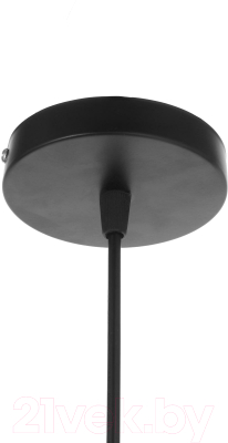 Потолочный светильник BayerLux Бирра / 4501996 (черный)