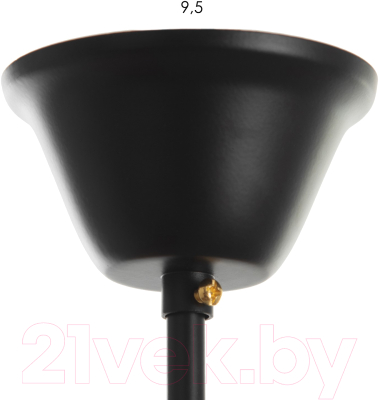 Потолочный светильник BayerLux Грелин / 9215004 (черный)