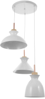 Потолочный светильник BayerLux Вармо / 9644078 (белый) - 