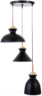 Потолочный светильник BayerLux Вармо / 9644079 (черный)