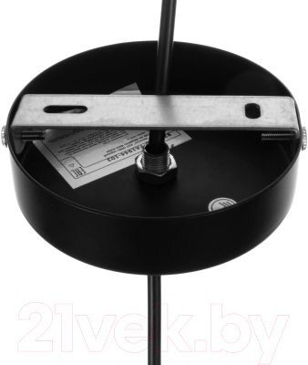Потолочный светильник BayerLux Дженаз / 9215518 (черный)