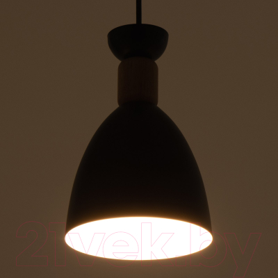 Потолочный светильник BayerLux Канди / 7794146 (черный)