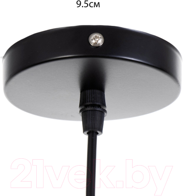 Потолочный светильник BayerLux Кортни / 9717782 (черный)