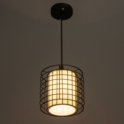Потолочный светильник BayerLux Одри / 9626368 (черный)
