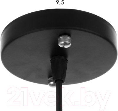 Потолочный светильник BayerLux Одри / 9626368 (черный)