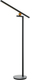 Торшер Maytoni Modern MOD363FL-L14B3K - 