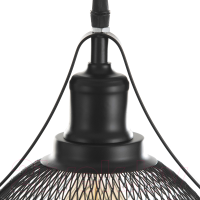 Потолочный светильник BayerLux Фабула / 9717760 (черный)