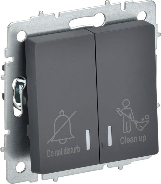 Выключатель IEK Brite BR-V20-2-10-K53 (графит)