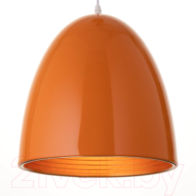 Потолочный светильник BayerLux Хантер / 9214810 (оранжевый/золотой)