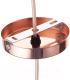 Миниатюра изображения товара Потолочный светильник BayerLux Эдиссон / 9468730 (розовое золото)