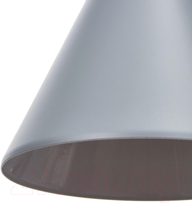 Изображение товара Потолочный светильник BayerLux 4642596 (серый)