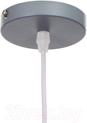 Изображение товара Потолочный светильник BayerLux 4642596 (серый)