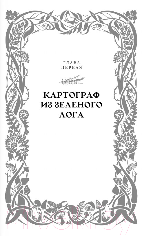 Художественная книга АСТ Квендель. Книга 1. Сумрачный лес / 9785171614447 (Роннефельдт К.) — фото 5