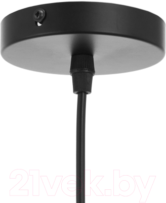 Потолочный светильник BayerLux 4613043 (черный)