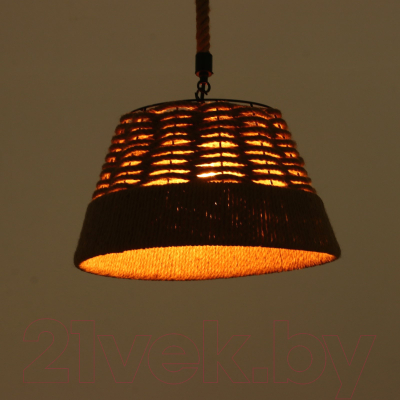 Потолочный светильник BayerLux Джут / 7434098 (черный)