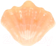 Салатник Andrea Fontebasso Galassia Shell / GL5CI652800 (оранжевый) - 