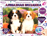 

Набор алмазной вышивки, Две собаки / AM30X40-DVES