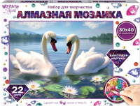 

Набор алмазной вышивки, Лебеди / AM30X40-115330
