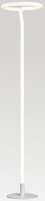 Торшер Lussole Bartow LSP-0920 - 