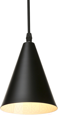 Потолочный светильник BayerLux Конус / 3950400 (черный)