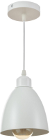 Потолочный светильник BayerLux Овал / 3950405 (белый) - 