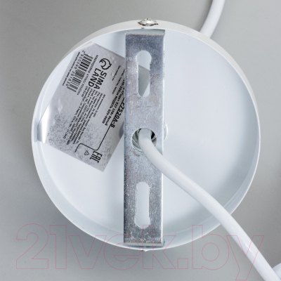 Потолочный светильник BayerLux Годе / 9626183 (белый)