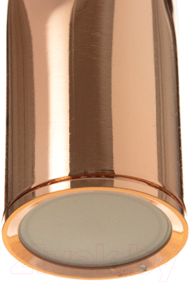 Потолочный светильник BayerLux Астелл / 9802162 (розовое золото )