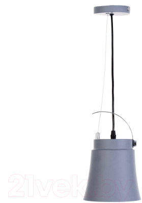 Потолочный светильник BayerLux Ритона / 9717776 (серый)
