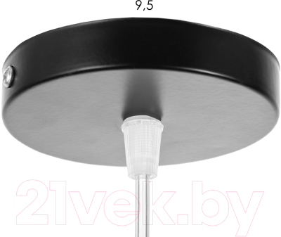 Потолочный светильник BayerLux Тейла / 9920223 (черный)