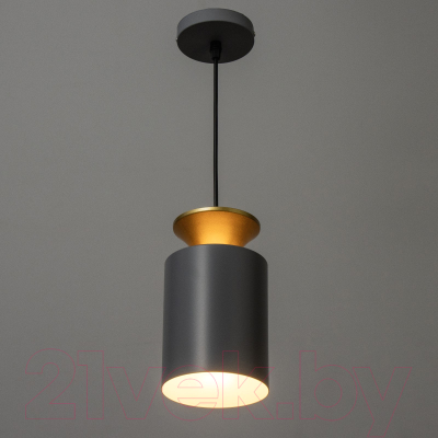 Потолочный светильник BayerLux Ванда / 9717769 (серый)