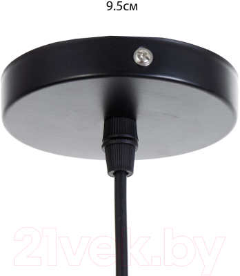Потолочный светильник BayerLux Ванда / 9717768 (черный)