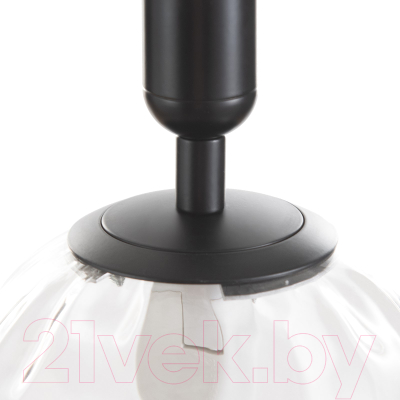 Потолочный светильник BayerLux Джавиер / 9753175 (черно-прозрачный)