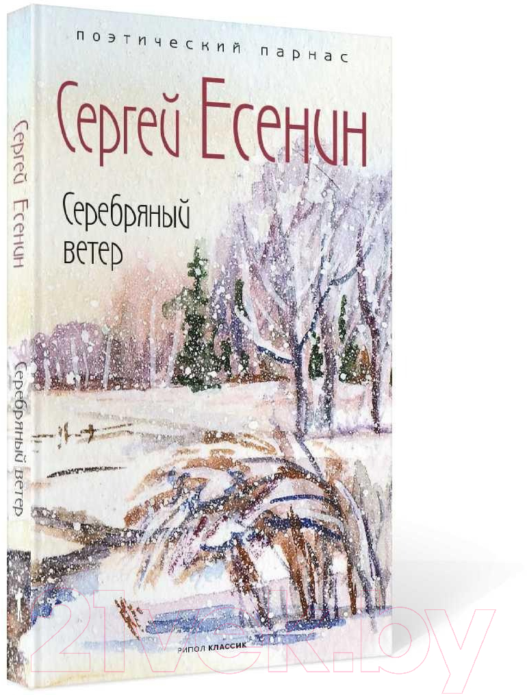 Книга Рипол Классик Серебряный ветер / 9785386143435