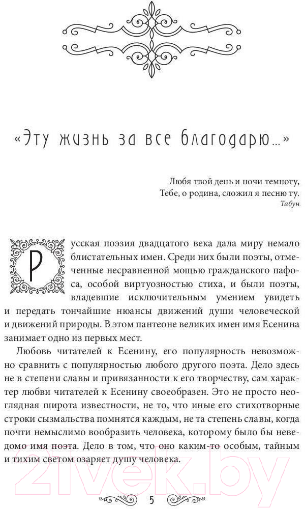 Книга Рипол Классик Серебряный ветер / 9785386143435