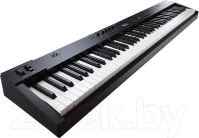 Цифровое фортепиано Roland RD-08