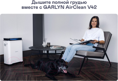 Климатический комплекс Garlyn AirClean V42