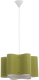 Потолочный светильник BayerLux Лаура / 9269437 (зеленый) - 