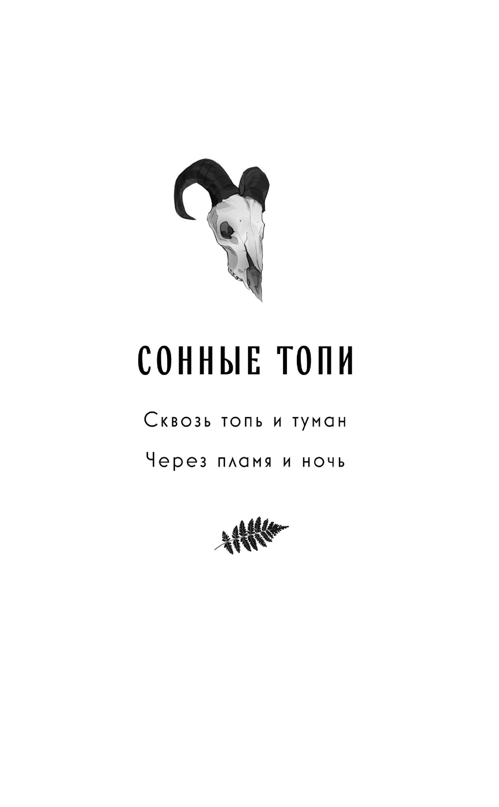 Художественная книга Черным-бело Через пламя и ночь, твердая обложка (Андрианова Анастасия) — фото 2