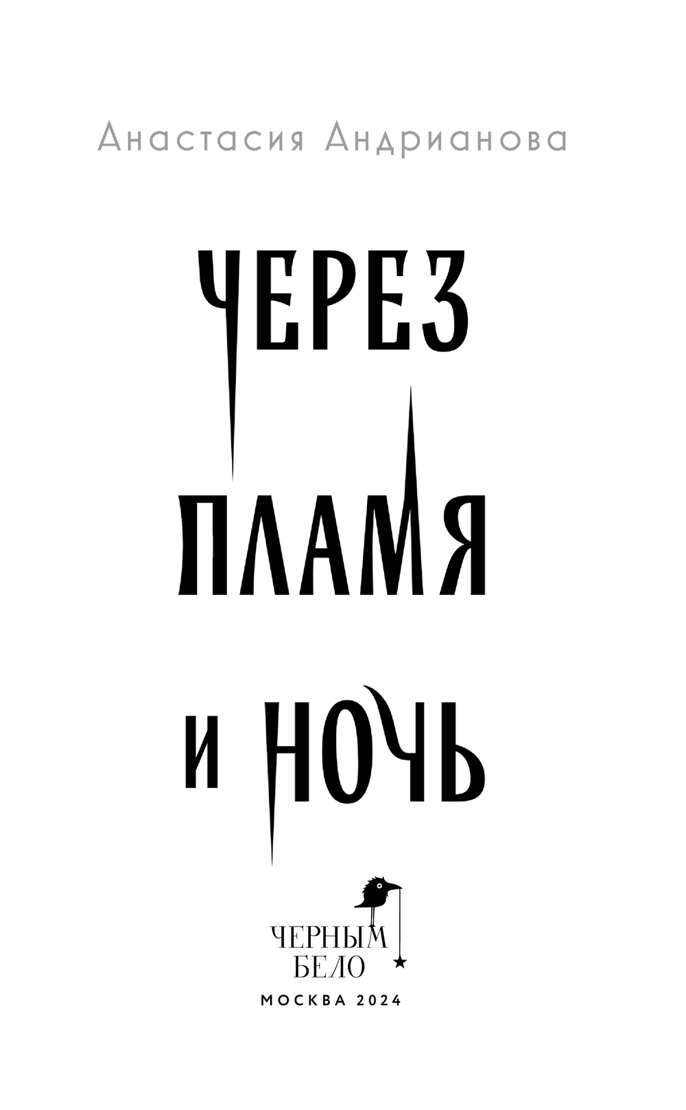 Художественная книга Черным-бело Через пламя и ночь, твердая обложка (Андрианова Анастасия) — фото 3