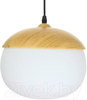 Потолочный светильник BayerLux 7012730