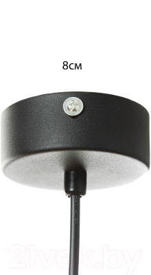 Потолочный светильник BayerLux Монро / 9802159 (черный)