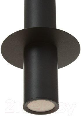 Потолочный светильник BayerLux Монро / 9802159 (черный)